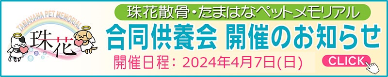 2024年度珠花合同供養祭　開催のお知らせ